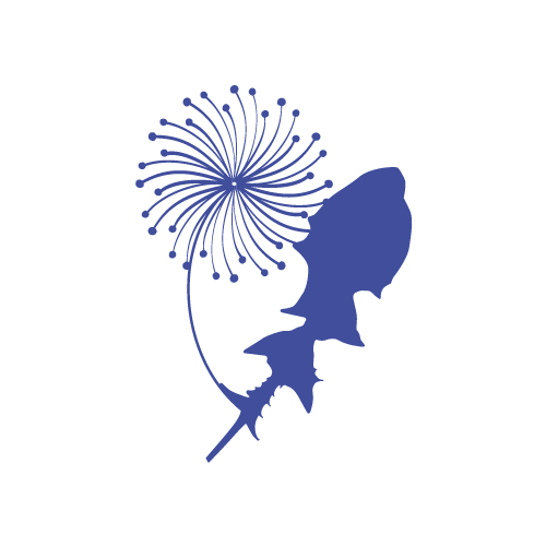 Dandelion_leaf_extract