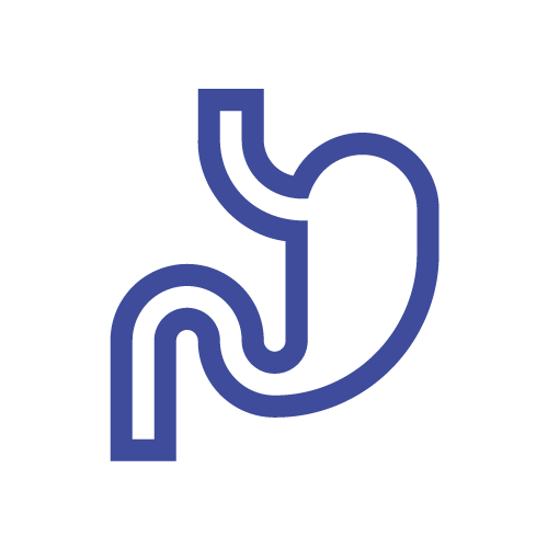 Digestive
