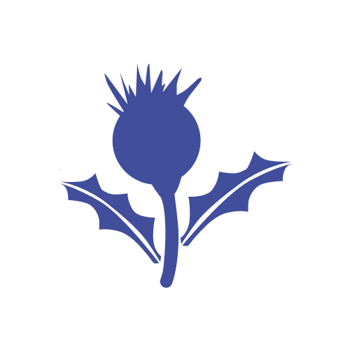 Milk_thistle_fruit_extract
