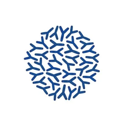 bifidobacteria