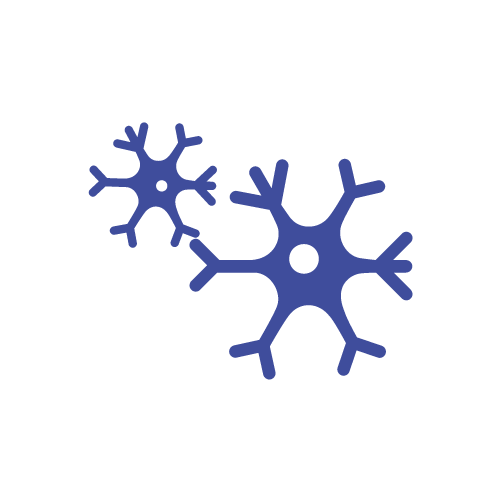 nervous-system