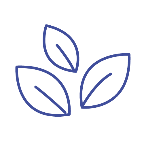 stevia
